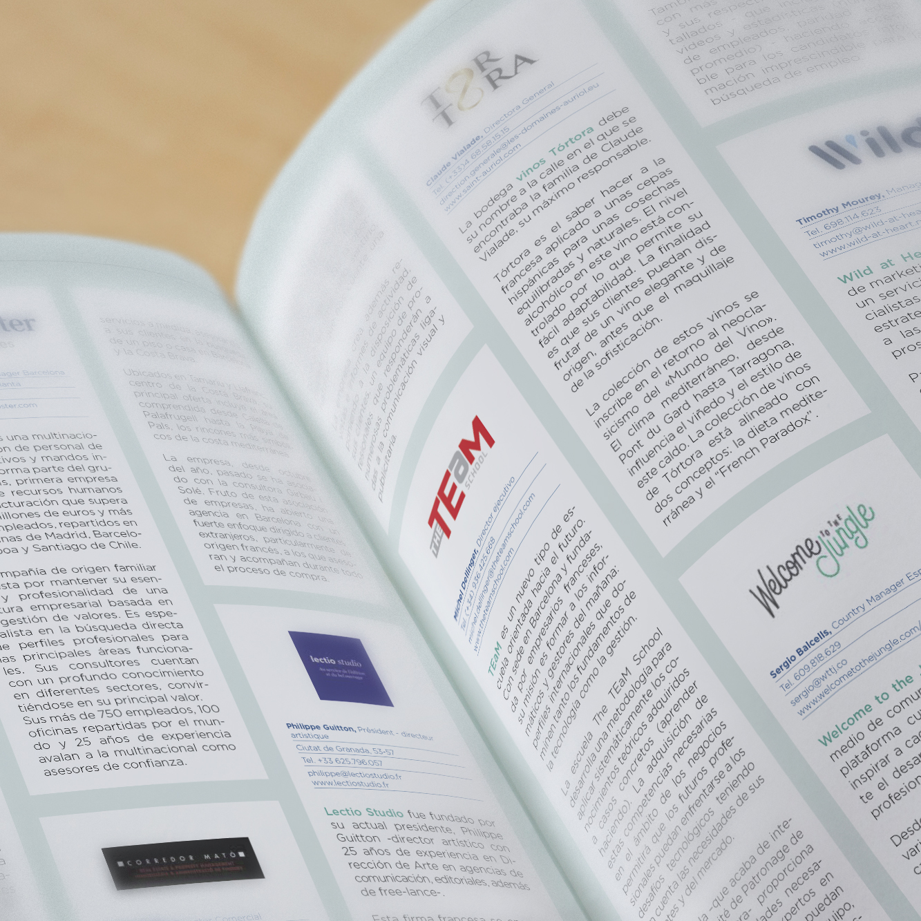 grotesca-camara-francesa-lettre-detalle